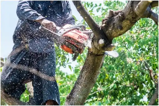 tree services Baldwin